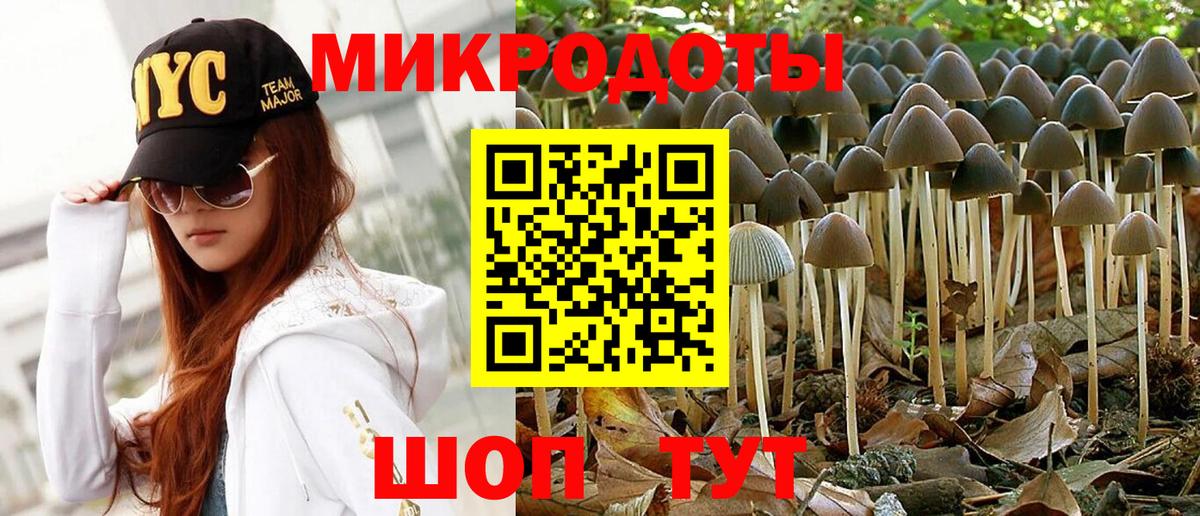 Псилоцибиновые грибы мухоморы  Вход с VPN  Галлюциногенные грибы Psilocybine cubensis  Отрадный 