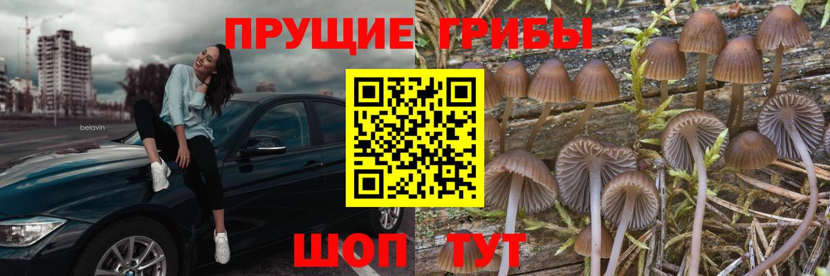 Галлюциногенные грибы ЛСД Отрадный