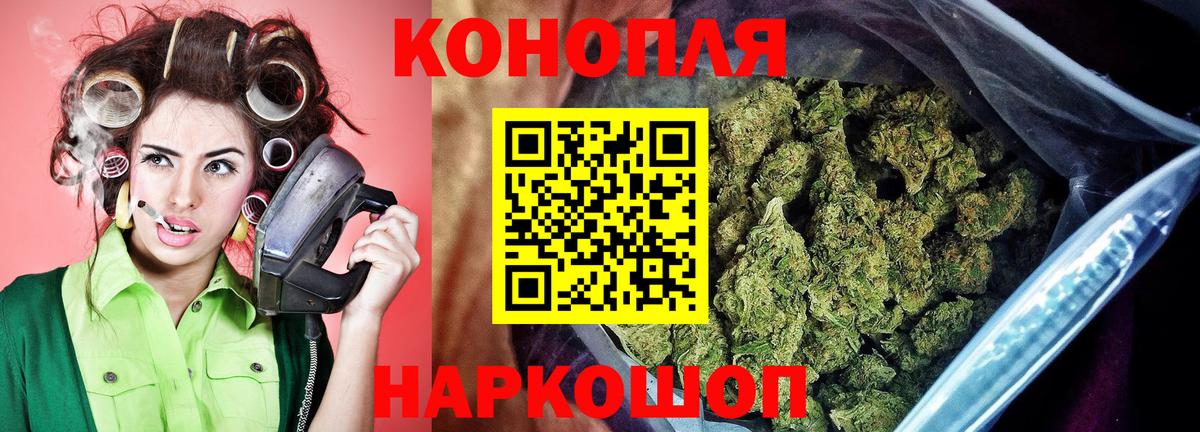 Шишки марихуана сатива Отрадный